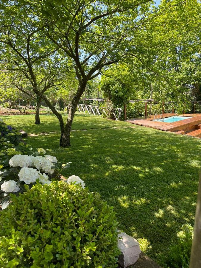 Villa Spartano Sant'Agata Sui Due Golfi Massalubrense 마사루브렌세 외부 사진